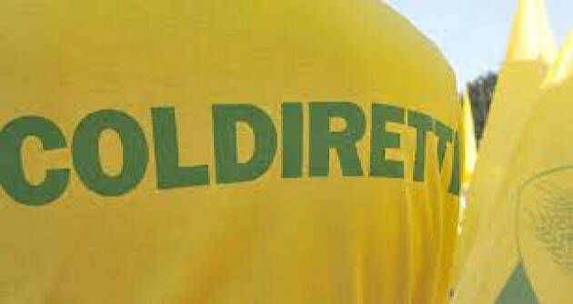 COLDIRETTI, APPROVAZIONE LEGGE BIOLOGICO VALE 7,5 MLD