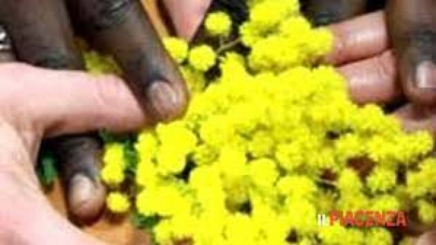 Giornata internazionale della Donna, le iniziative in calendario a Piacenza