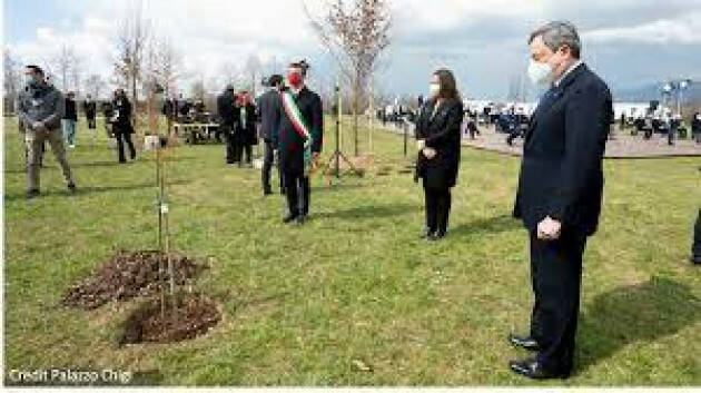 Bergamo: Bosco della Memoria, in corso la piantumazione di 80 betulle dell'Himalaya
