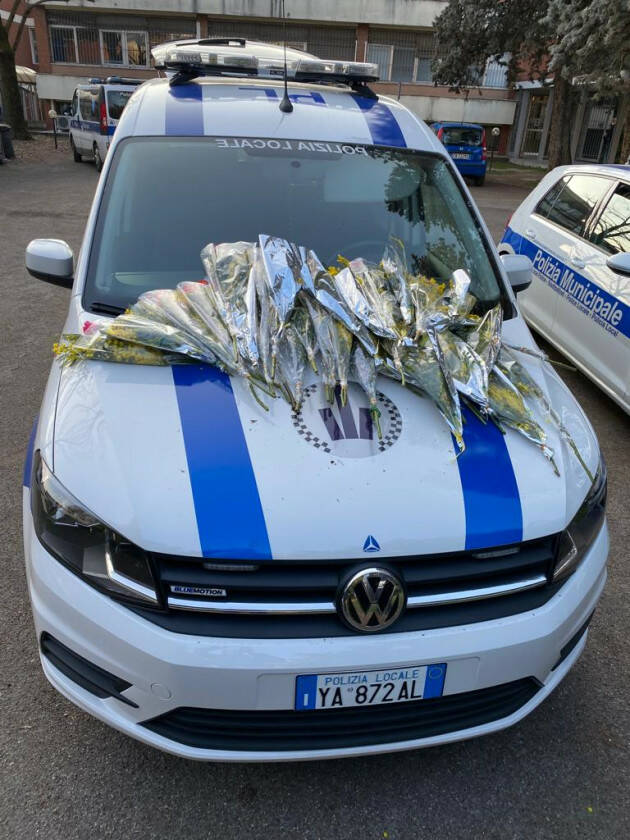 Piacenza: Sequestrati 80 mazzi di mimose nella giornata dell'8 marzo. 