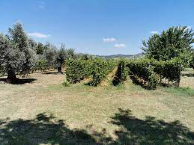 La guerra affossa l’agricoltura bergamasca