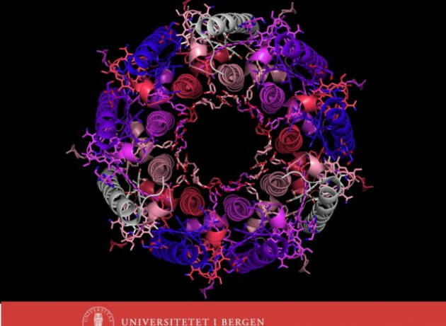 L’evoluzione favorisce la simmetria perché è più semplice
