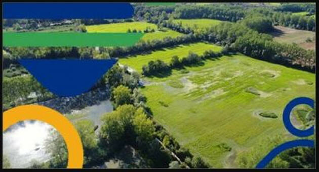 Al via il concorso internazionale per il miglior progetto agrivoltaico