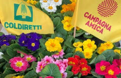 Coldiretti Campagna Amica, ‘benvenuta primavera’ lunedì a Soresina