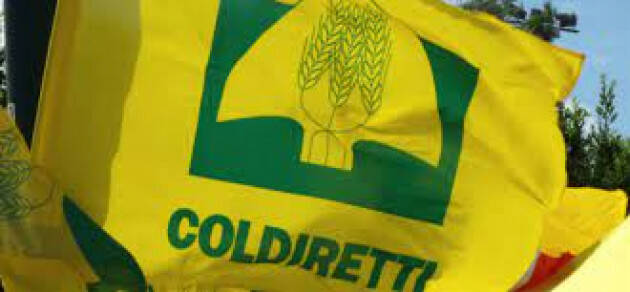 COLDIRETTI, BUCO DA 8 MLD NEI CAMPI, ECCO SOSTEGNI SALVA CIBO