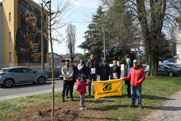 Brescia: Piantumazione di aceri a San Bartolomeo