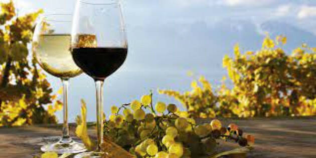 IL VINO GENERA CULTURA