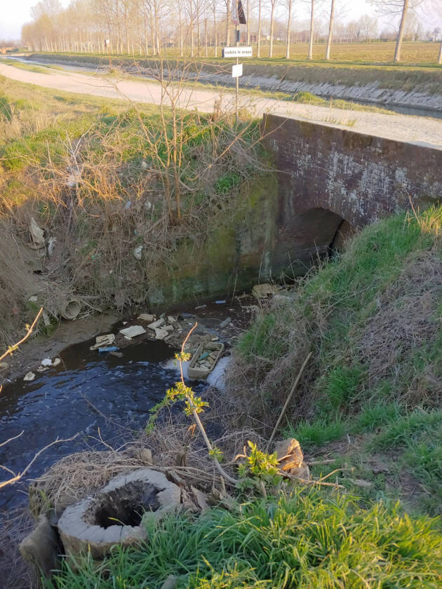 Vergonzana: pesci morti e rifiuti nella roggia (VIDEO)