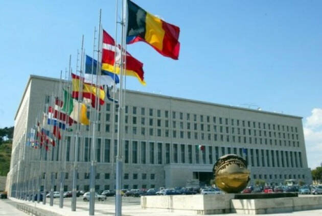 La Farnesina blocca i foreign fighters stranieri