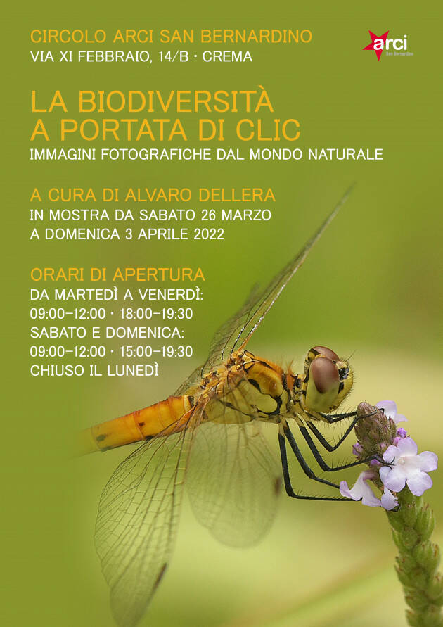 La biodiversità in un clic. All'Arci San Bernardino una mostra Fotografica di Alvaro Dellera