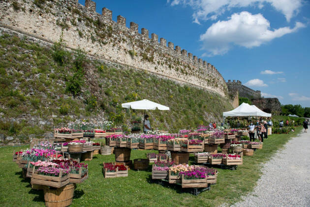 Dall'8 al 10 aprile XIV Edizione di FIORInellaROCCA 