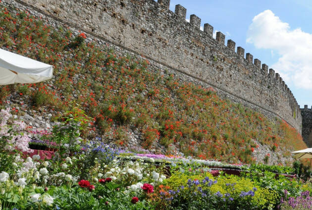 Dall'8 al 10 aprile XIV Edizione di FIORInellaROCCA 