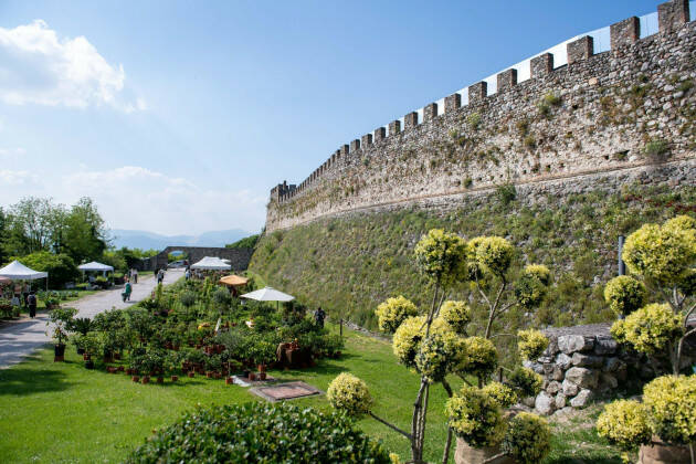 Dall'8 al 10 aprile XIV Edizione di FIORInellaROCCA 