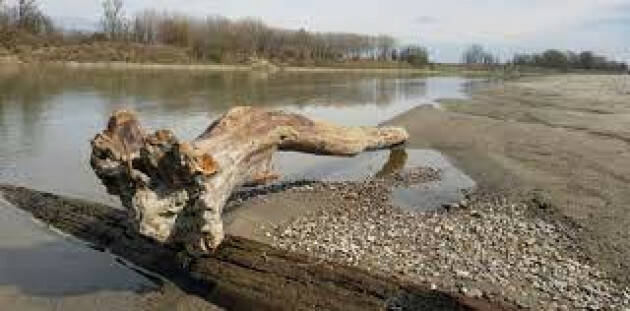 Coldiretti sulla crisi idrica:  passare da logica emergenza a prevenzione   