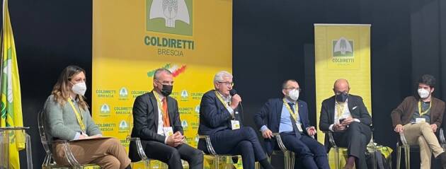 Che futuro abbiamo in testa?
