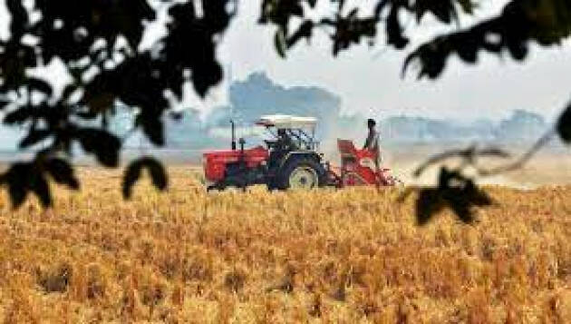 100mila aziende agricola italiane a rischio chiusura a causa della guerra in Ucraina