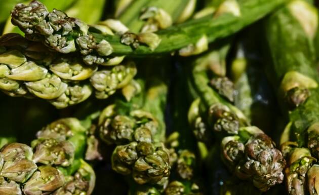 ASPARAGI, I RE DELLA TAVOLA DI PRIMAVERA