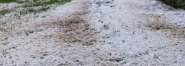 MALTEMPO, GRANDINE DEVASTA ORTI E FRUTTETI
