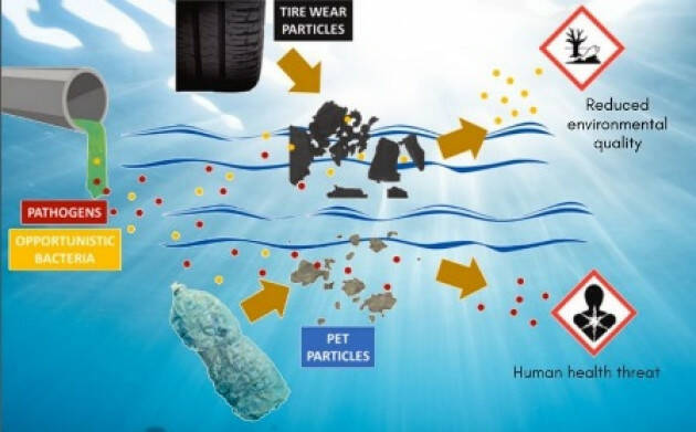 Le microplastiche non sono tutte uguali