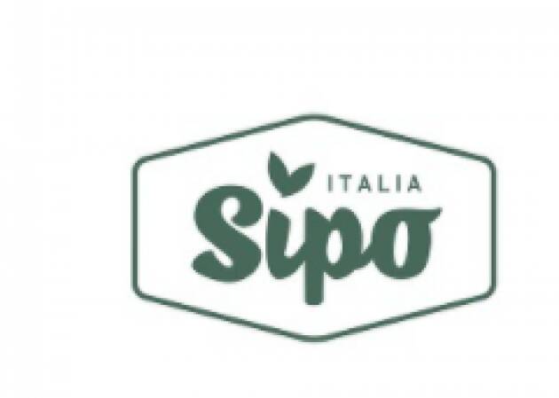 Continua il sostegno di SIPO alla Fondazione Maratona Alzheimer