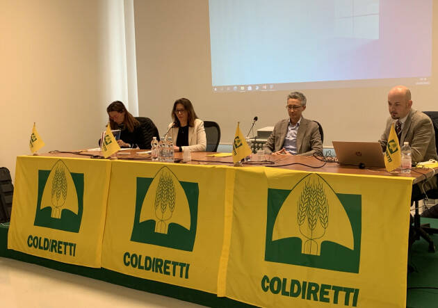 PNRR fotovoltaico, quali opportunità per le imprese agricole?