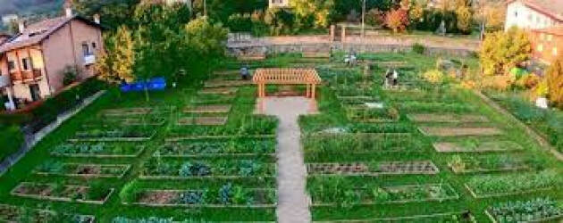 Bergamo: DAL 12 APRILE ONLINE IL NUOVO BANDO PER LA CONCESSIONE DEGLI ORTI URBANI