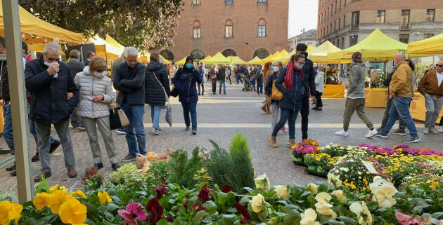 Campagna Amica domenica 10 aprile in piazza Stradivari