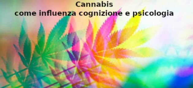 Cannabis: come influenza cognizione e psicologia
