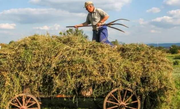  Come l’agricoltura ha plasmato il mondo