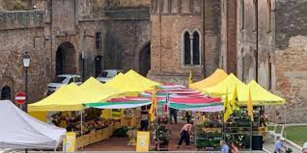 #facciamocosebuone, domani al mercato di Pizzighettone
