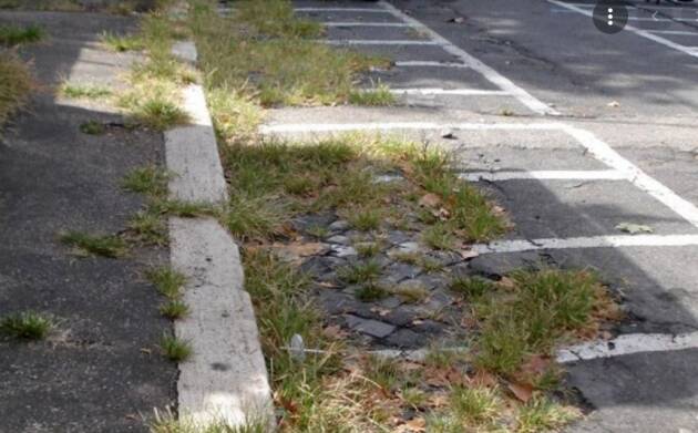 Dal 19 aprile avvio del diserbo sui marciapiedi in tutta la città