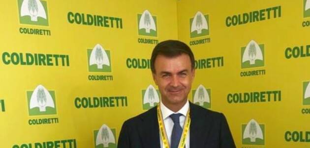 Vinitaly, Lugana lombardo guida top ten vendite