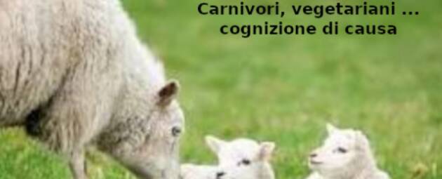Carnivori, vegetariani … cognizione di causa