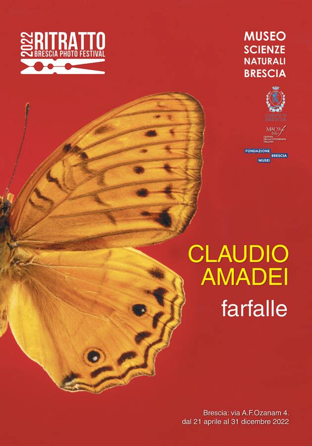 Brescia: inaugurazione mostra Farfalle