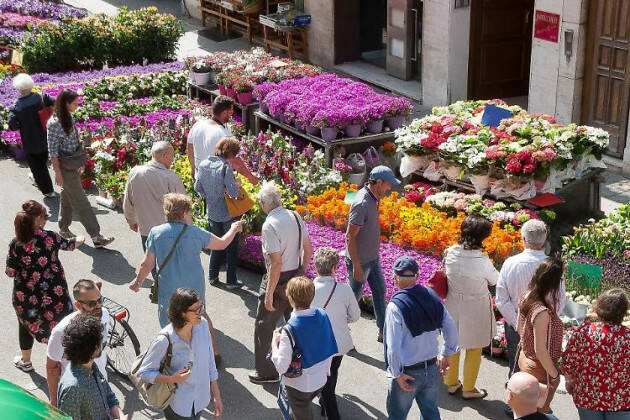 Cremona tornerà a fiorire  con Le Invasioni Botaniche Sabato 23 e domenica 24 aprile