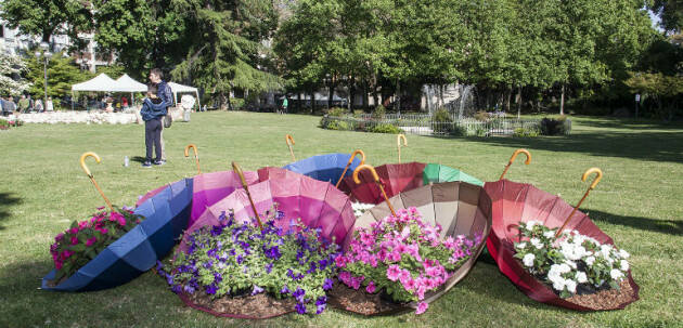 Cremona tornerà a fiorire  con Le Invasioni Botaniche Sabato 23 e domenica 24 aprile