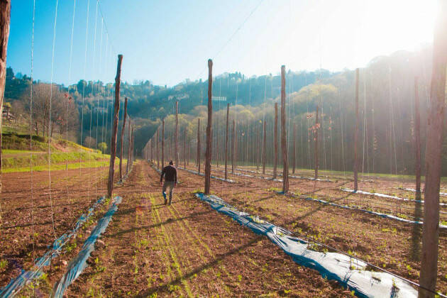 A Bergamo il Forum sul Paesaggio del Consiglio d'Europa | 28 - 29 aprile | Monastero di Astino