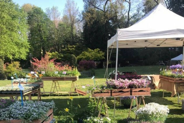 Un successo le invasioni Botaniche di Cremona del 23 e 24 aprile u.s.