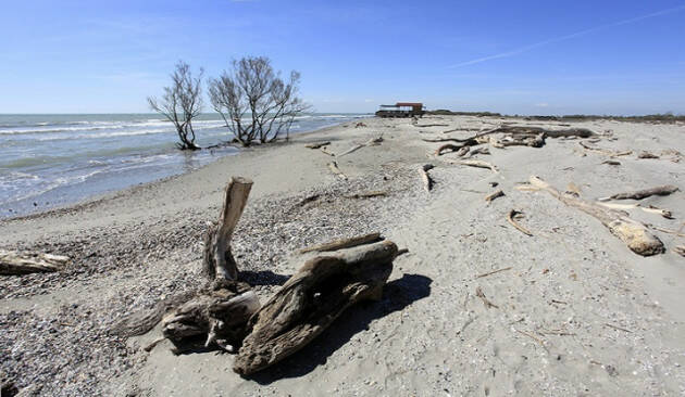 La resilienza degli ecosistemi dell’Adriatico e l’impatto dell’attività umana sulle aree costiere