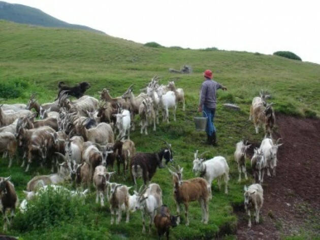 Lombardia Promuovere la cultura del pastoralismo