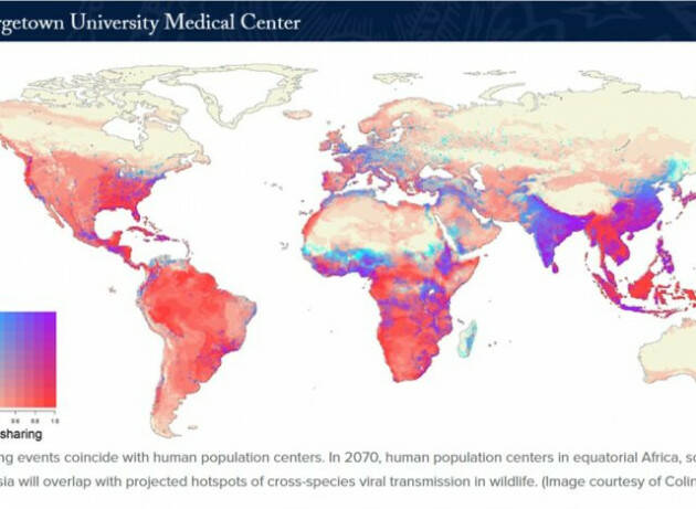 I cambiamenti climatici potrebbero innescare la prossima pandemia