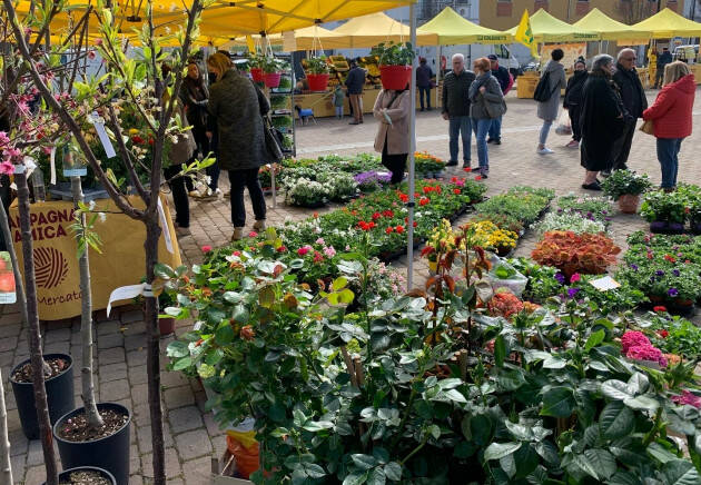 Campagna Amica domenica 1 maggio a Sospiro