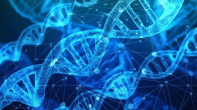 Dal produttore al consumatore: la Commissione Ue raccoglie pareri sulle nuove tecniche genomiche
