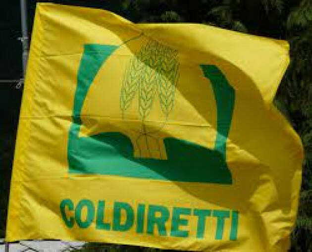 Bollette, contro caro energia in campagna  webinar Coldiretti su agrisolare su tetti