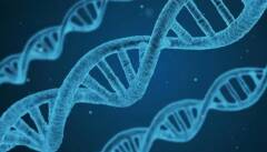 Il DNA non ha più segreti: completata la mappa del genoma umano