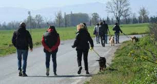 Piacenza: Domenica 15 maggio la manifestazione ''A spasso con i cani del canile municipale''
