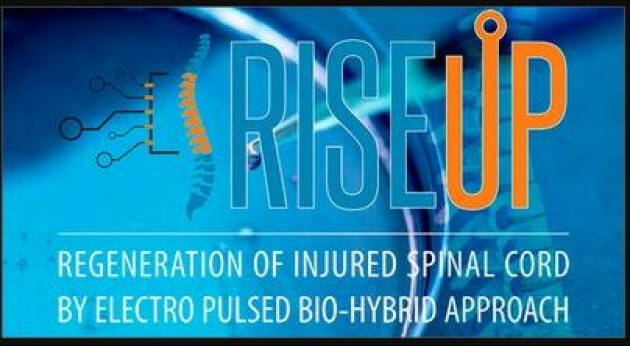 RiseUp: verso una cura innovativa delle lesioni del midollo spinale