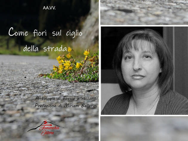 'Come fiori sul ciglio della strada' antologia di autori vari: prefazione Miriam Ballerini