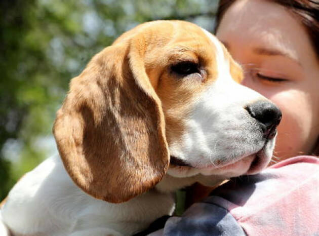 Assolti in appello veterinario e dipendenti di Green Hill