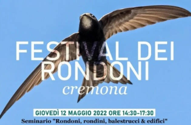 Cremona Ori Maurizio FESTIVAL DEI RONDONI 2022 